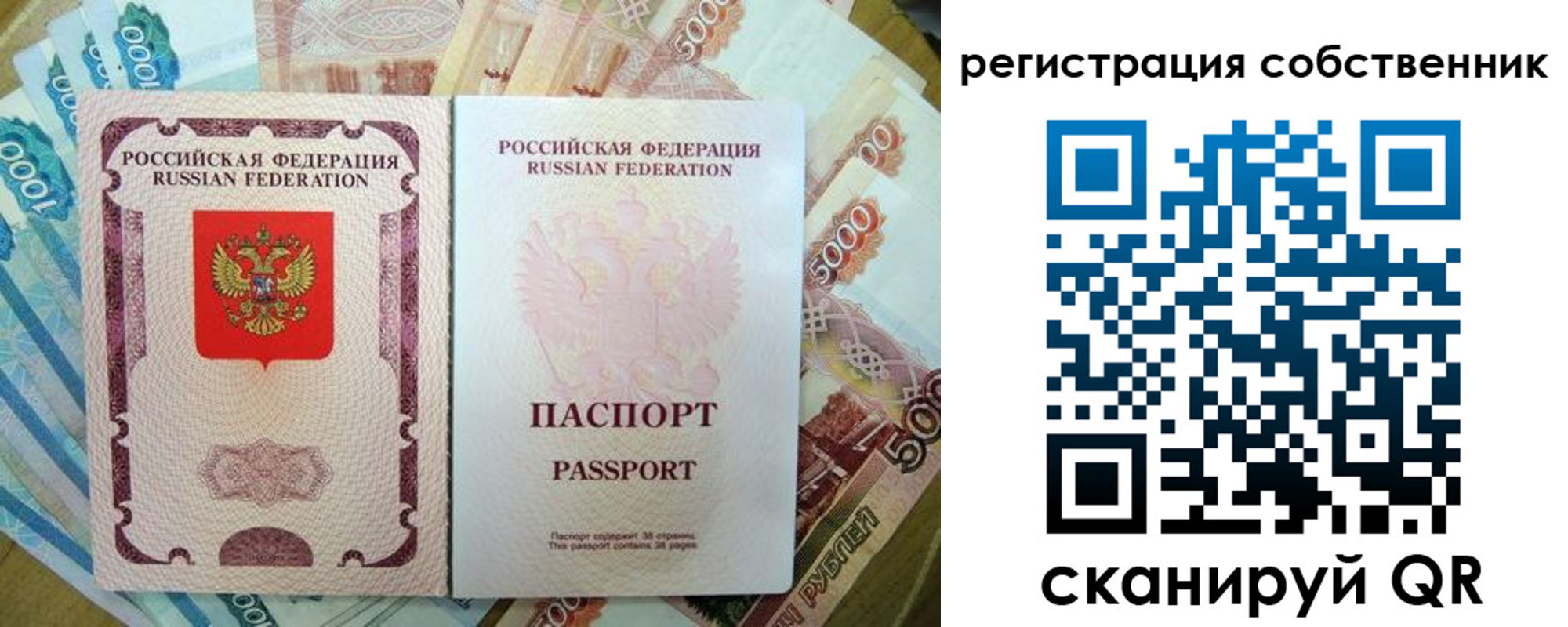 прописка гарантия в Приозерске